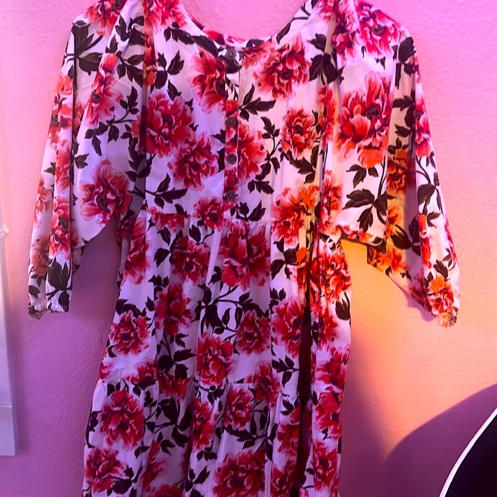 Floral Pink and Red Dress